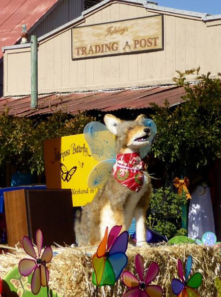 CoyoteFest Parade