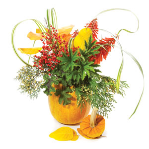 gardening 300x300