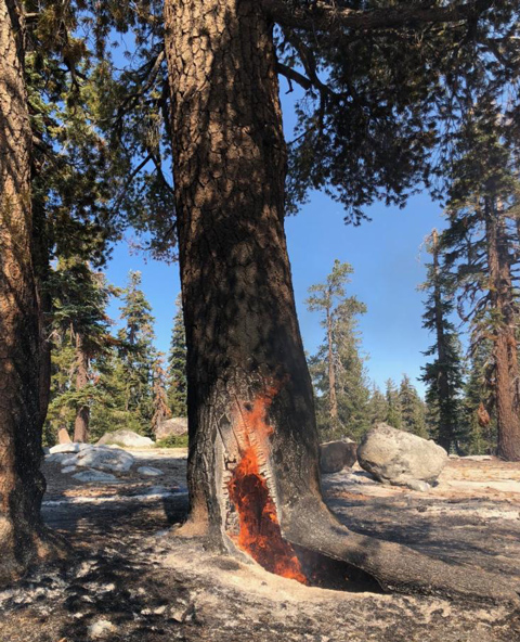 yosemite fire
