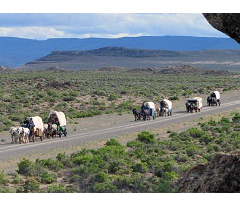 CA NCD Wagon Train