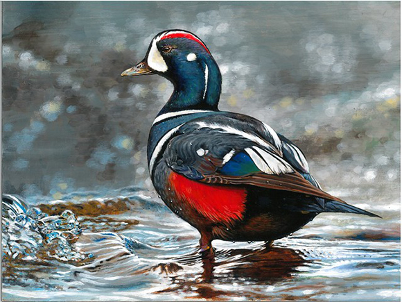 winning 2019 Junior Duck Stamp art