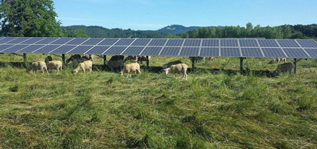 RN solar panels agriculture