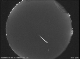 perseid 1