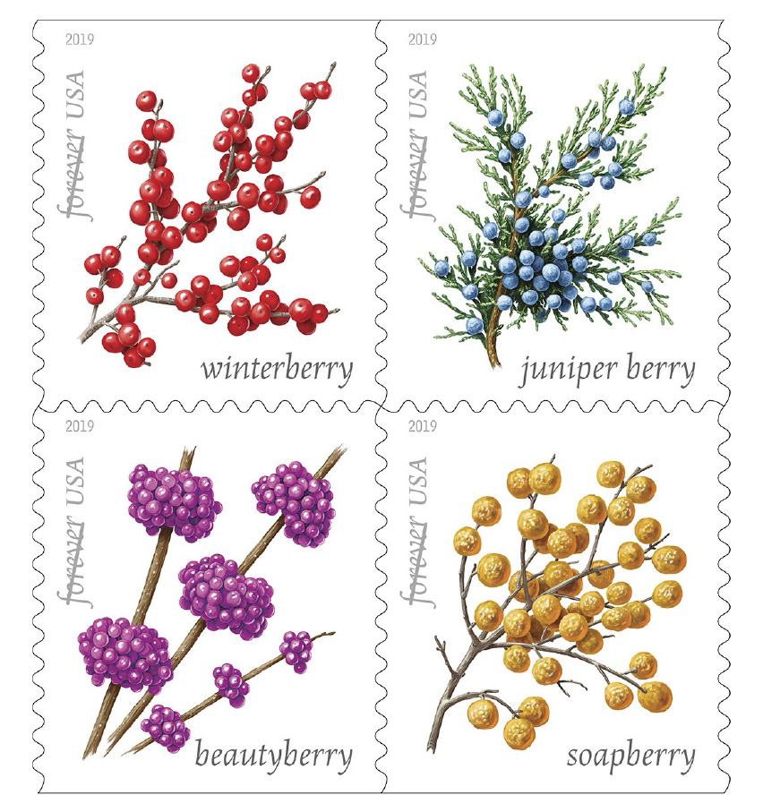 usps new forever stamps feature winter berries 1