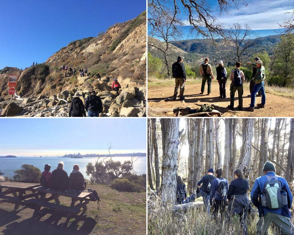 First Day Hikes collage