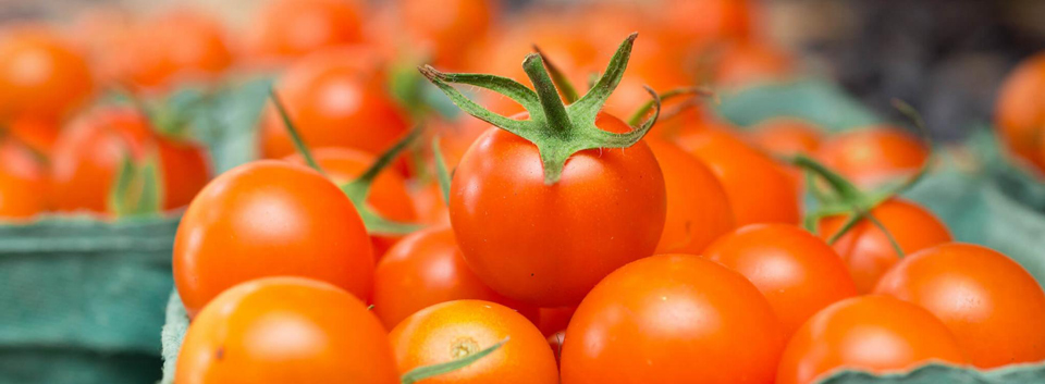 tomatoes credit usda
