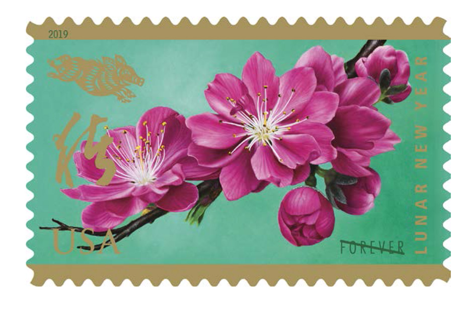 usps year of the boar 2019 forever stamp