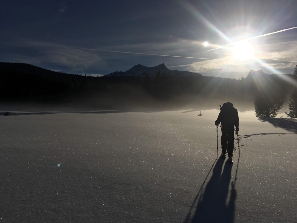 yosemite Sparkling surface hoar and fog Tuolumne Meadows January 19 2019