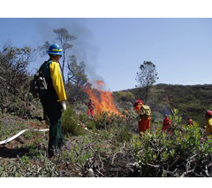 news california stage one fire 2018