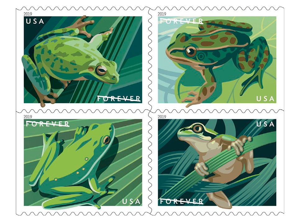 usps celebrates four species of frogs