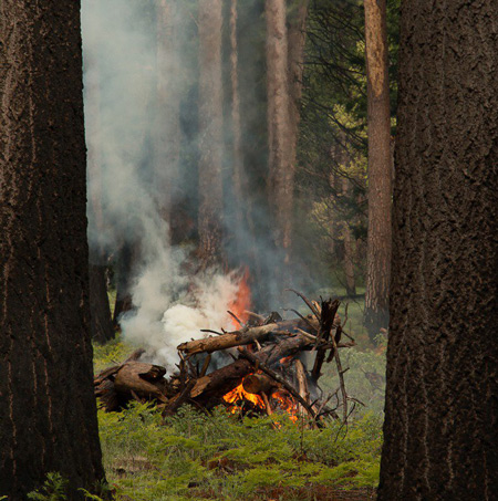 yosemite pile burning