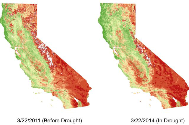 Before and after drought mid