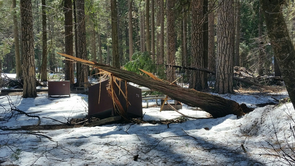 yosemite NPS Photo Damaged Bear Boxes in Upper Pines Campground