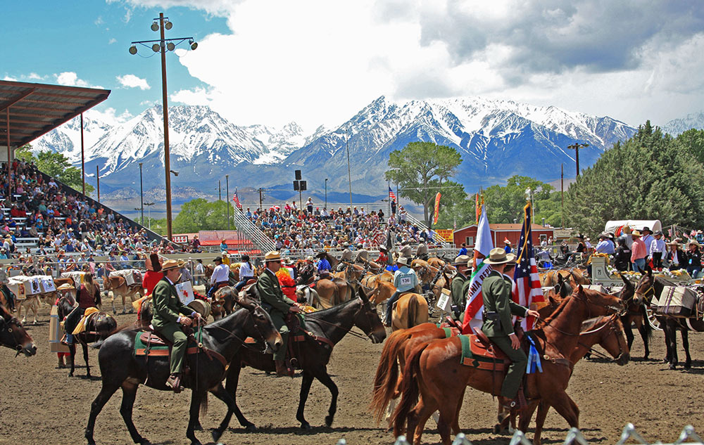 NPS Yosemite Mounted Patrol and Yosemite Packers in the Parade Arena in Bishop May 25 2019