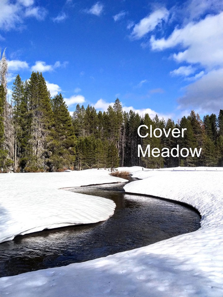 meadow