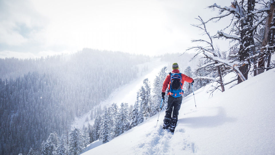 ste2018 1stplace bridgertetonnationalforest chingfu