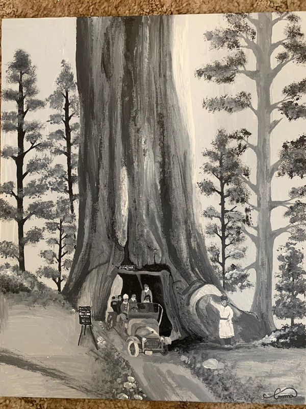 Yosemite Award Emma Blomgren Giant Sequoia Wawona Tree 1910s Yosemite High School