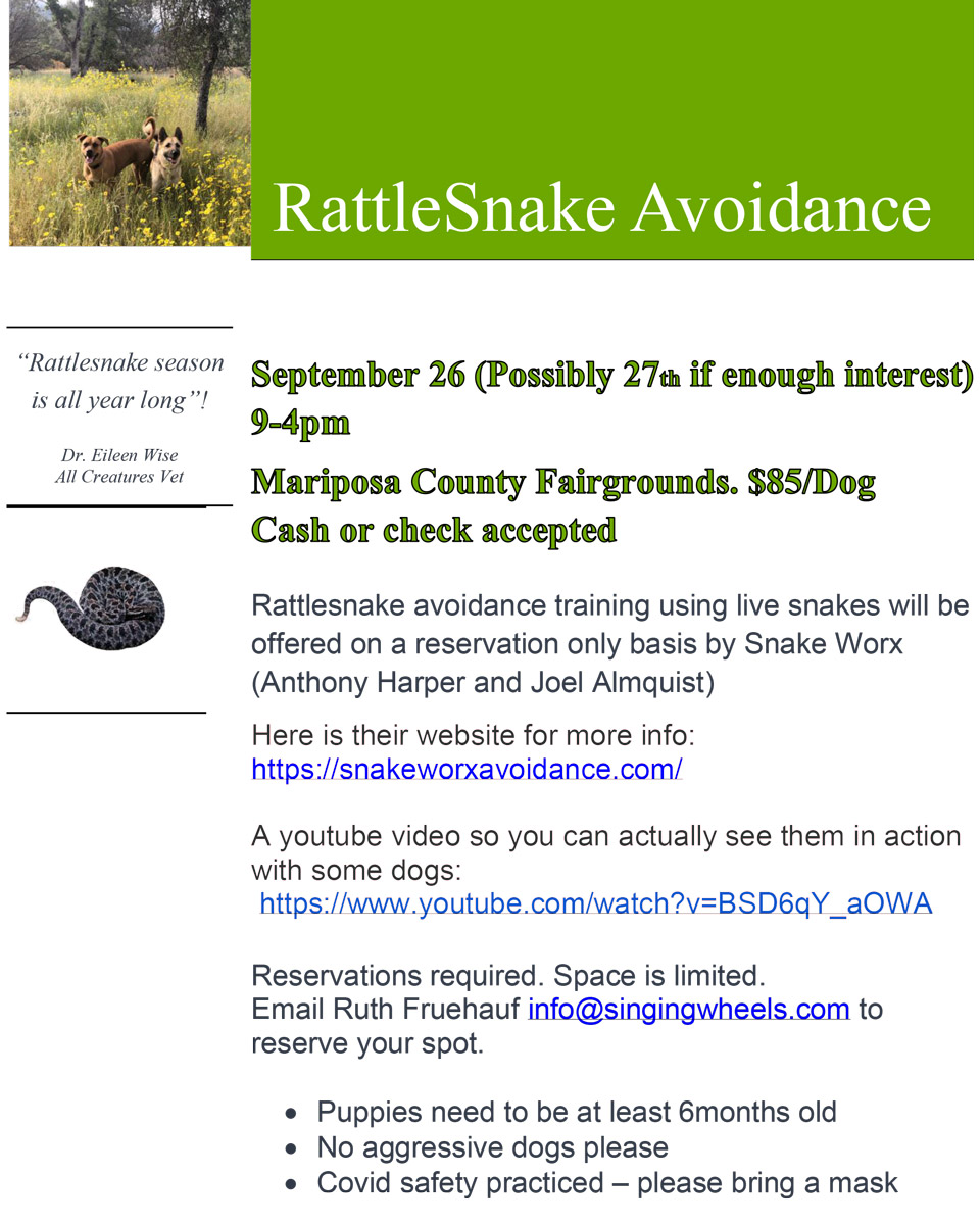 9 26 20 rattlesnake training