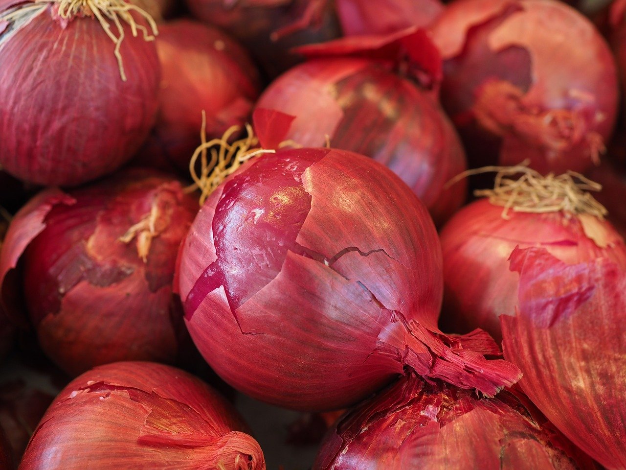 red onions vegetables 499066 1280