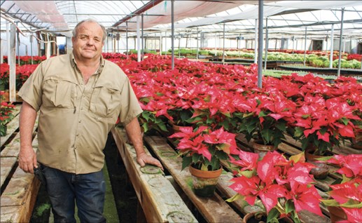 4743 P1 20201202EisleyPoinsettiasKWH10