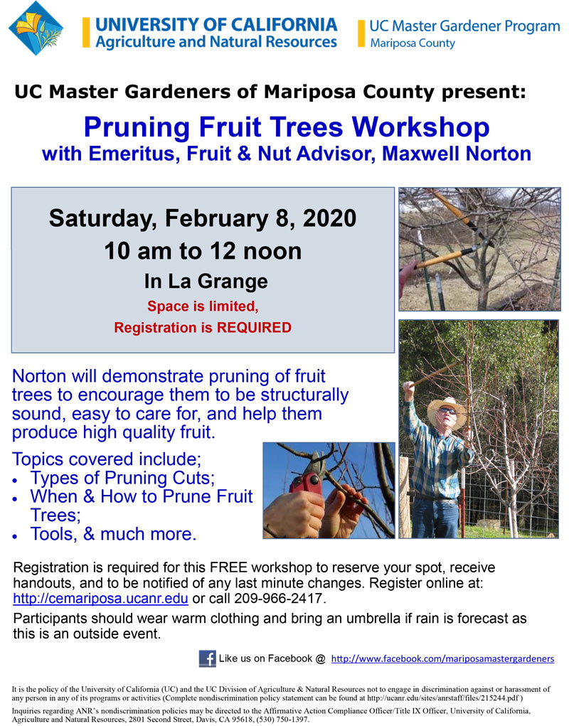 2 8 20 Pruning Fruit Trees Workshop