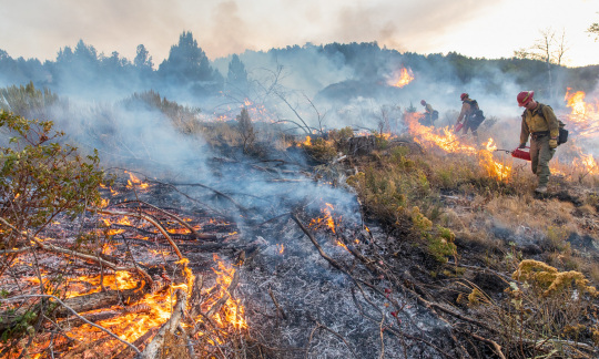 fire rx burn owf photo neal herbert blm idaho