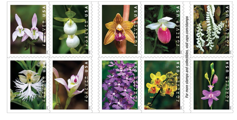 usps wild orchids forever stamp 1