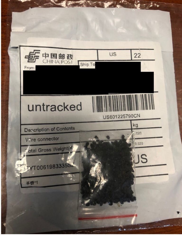 Seed package from China 768x1024