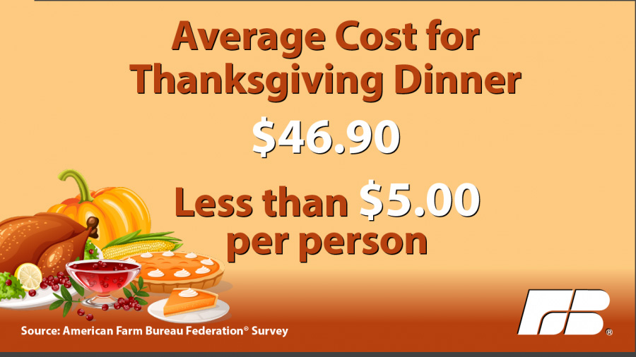 Average Cost for Thanksgiving Dinner 46