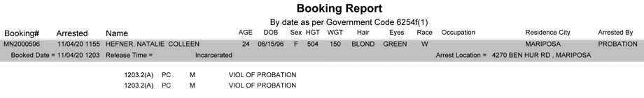 mariposa county booking report for november 4 2020