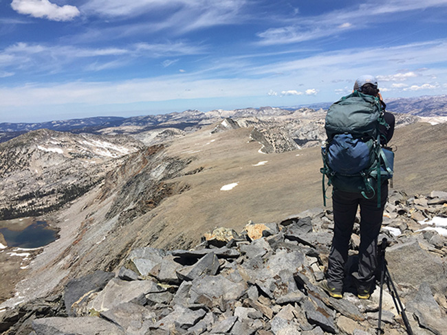 bighorn sheep survey 2020 courtesy nps small