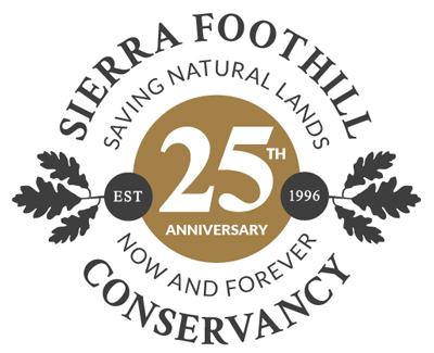 SFC 25th Anniversary logo