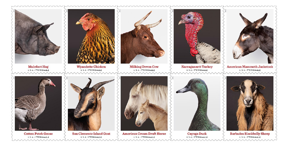 usps new heritage breeds forever stamps available may 17 1