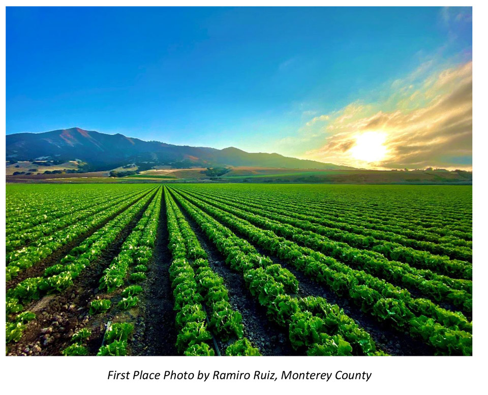 RCRC Announces Winner of Fifth Annual Rural Photo Contest 2