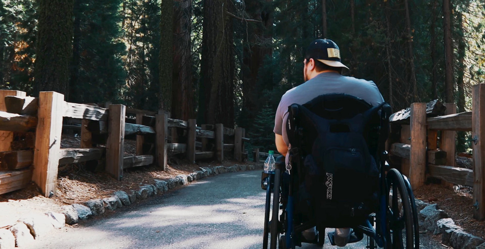Sequoia and Kings Canyon National Parks Short Film Series Released Online