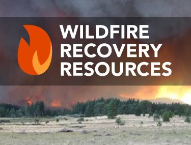 Wildfire Recovery Resources DL
