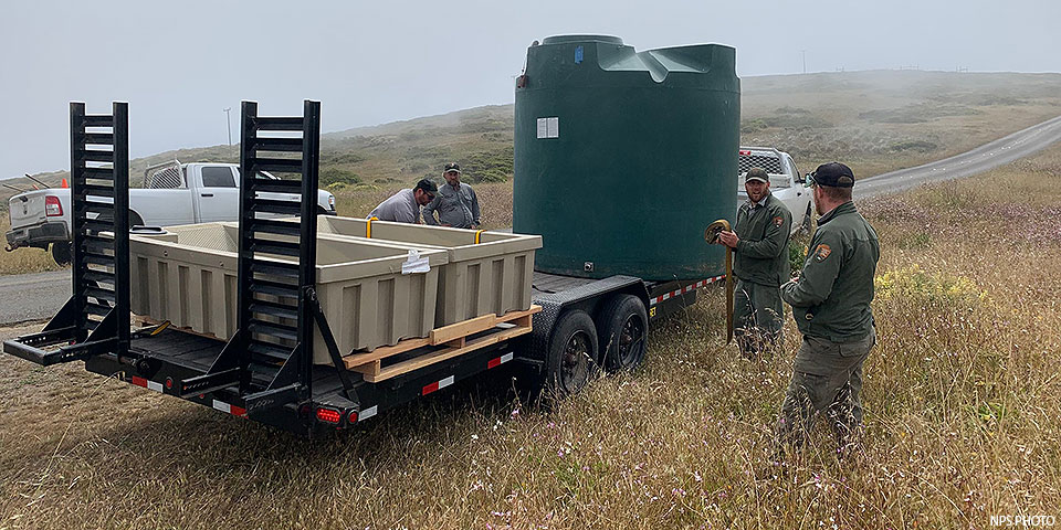 tomales point water tank and trough delivery