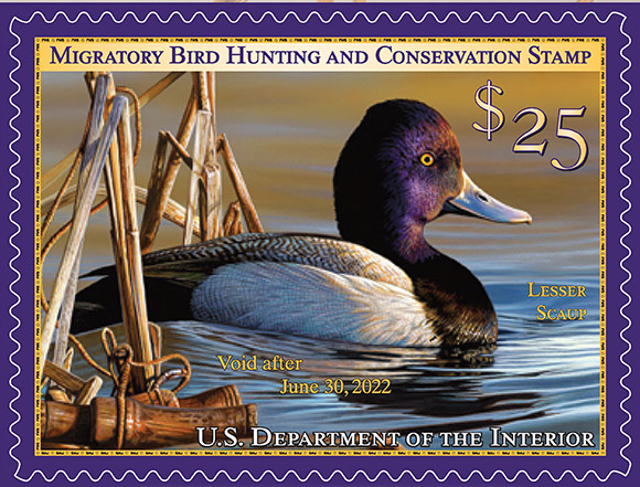 usfws 2021 2022 Federal Duck Stamp credit USFWS
