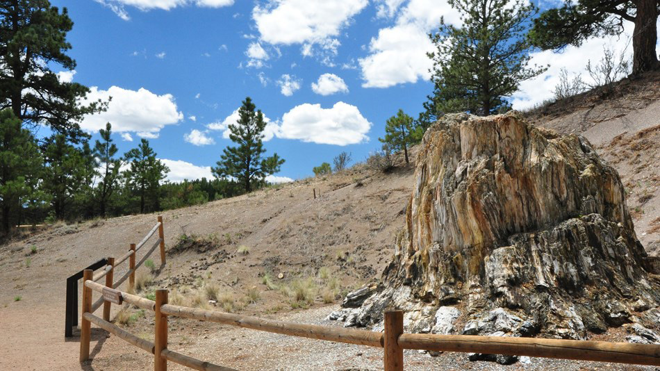 Florissant Fossil Beds NPS