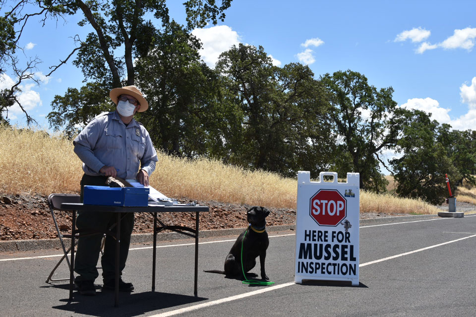 Mussel Inspection station pics