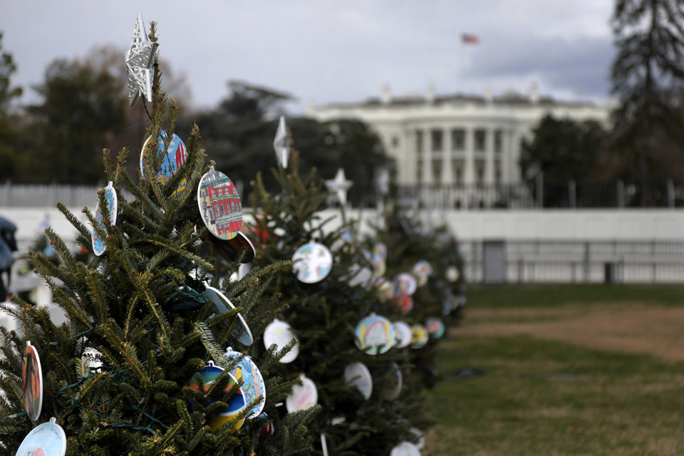 State trees decorated with student made ornaments in 2020