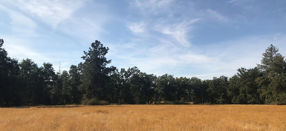 Stookey Preserve Big Landscape
