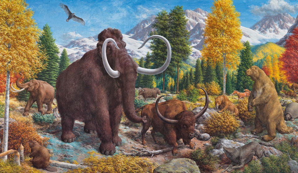aom pleistocene