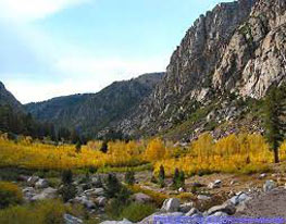 sonora pass trees in fall credit sierra sun times