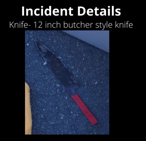 MCSO knife 2