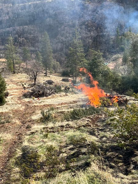pile burning sierra national forest