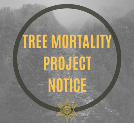 MCSO tree mortality