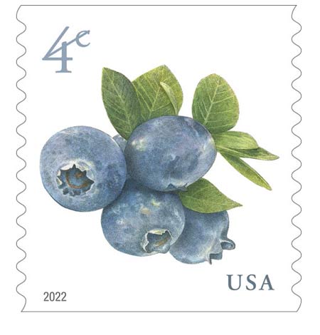 usps postal service issues new blueberries stamp 1