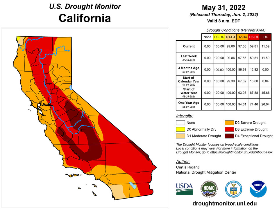 ca20220531 ca trd