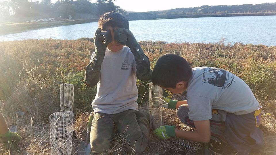 estuary explorers planting whistlestop resized